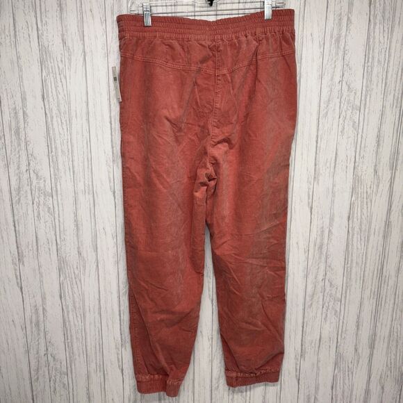 Womens Size M Anthropologie Kalea Rose Velvet Pants NWT - Picture 5 of 6